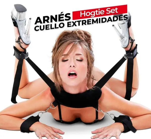Arnés Araña