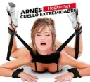 Arnés Araña